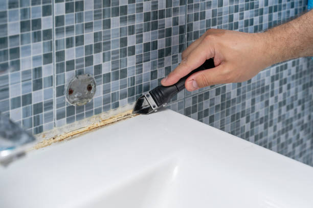 Best Health and Safety Mold Remediation in Hicksville, OH